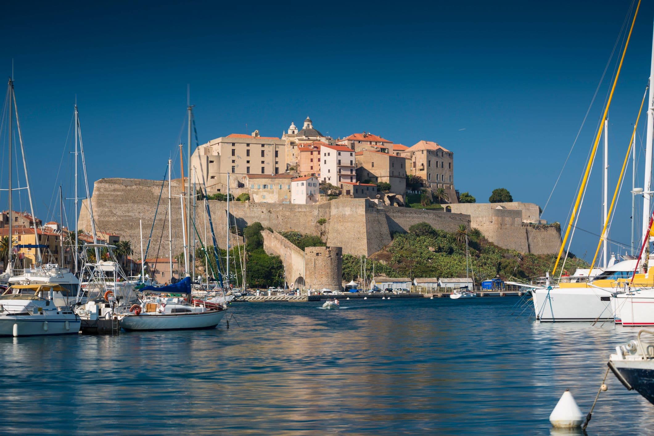 La Citadelle de Calvi. ©Schroptschop