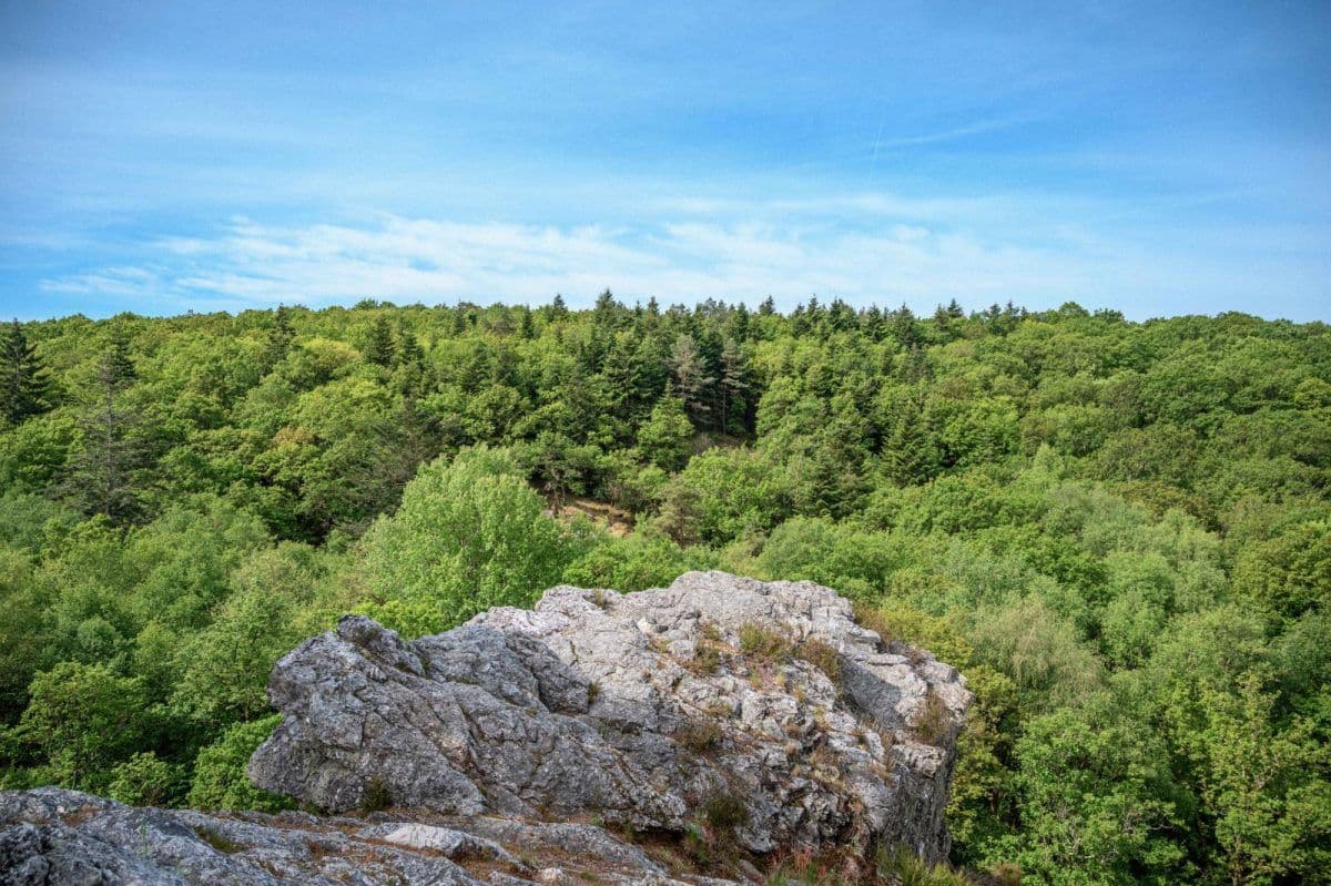 Incroyable point de vue sur la cime des arbres depuis le Saut du serf. 