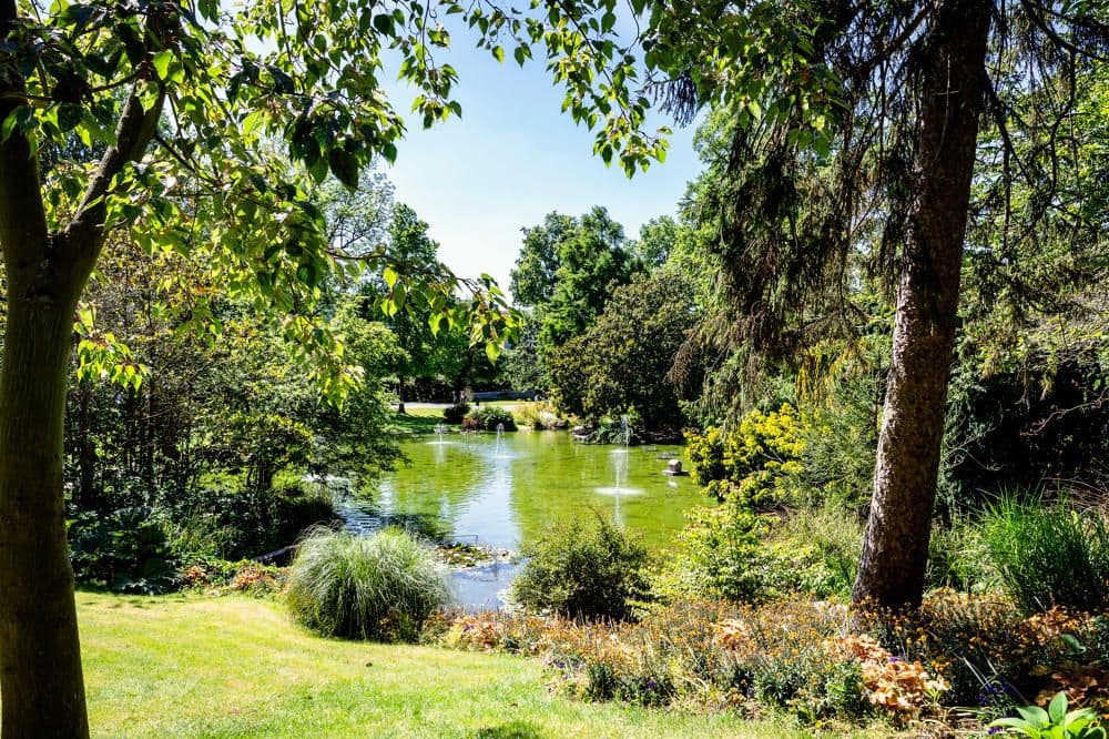 Le jardin des plantes à Angers ©D. Mouraud - Destination Angers