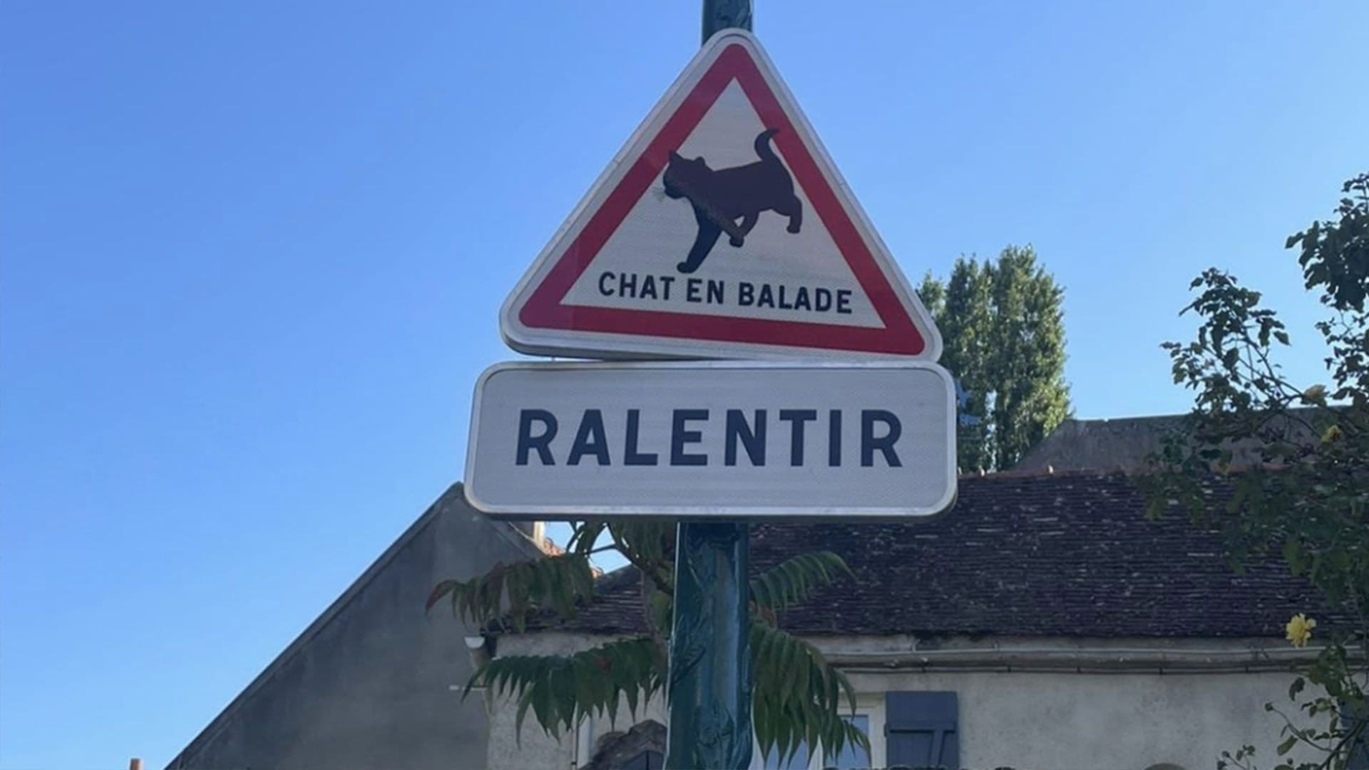 Panneau dédié à la protection des chats dans la ville de Mennecy © Aux Mennechats 