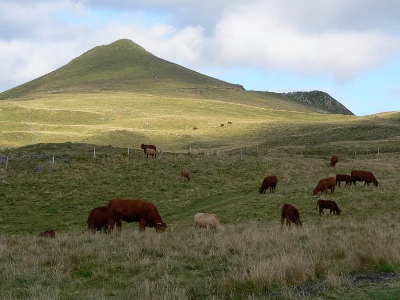 Puy Violent © Auvergne Tourisme