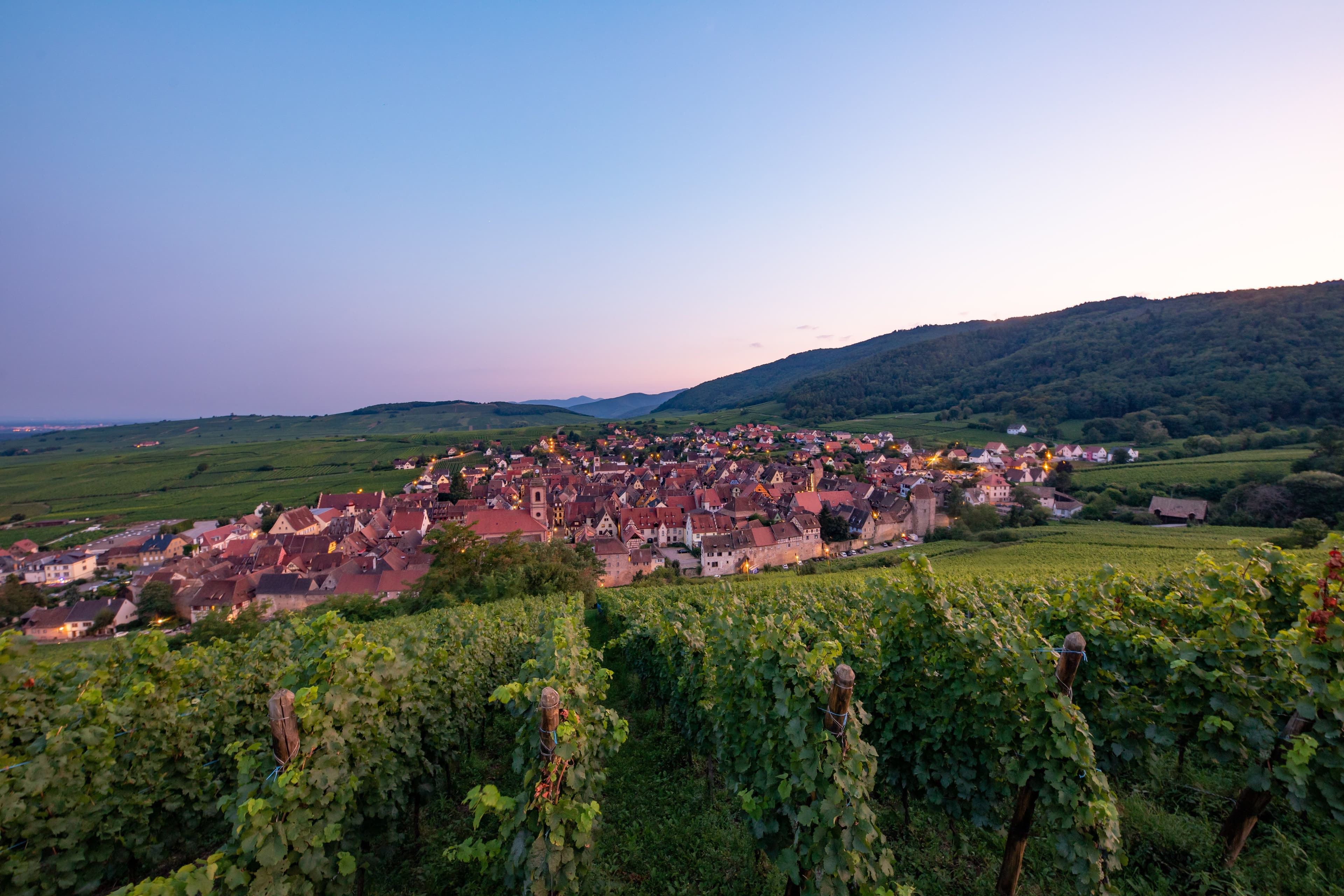 Riquewihr - © Quentin Gachon