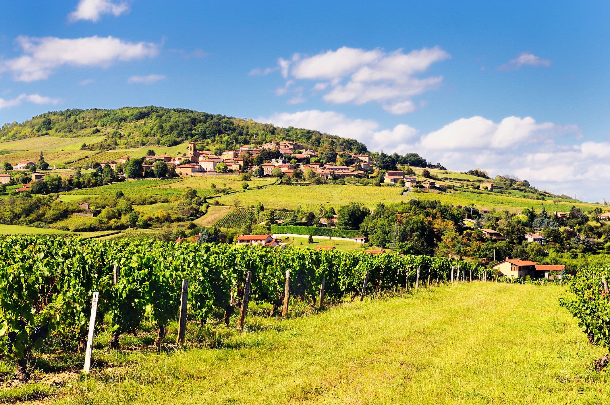 Village de Theizé dans le Beaujolais