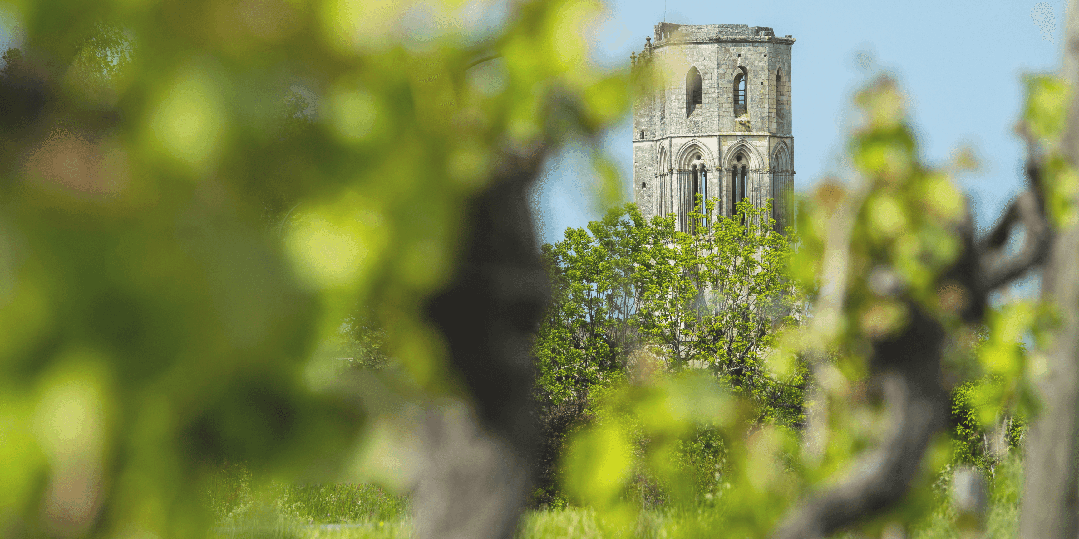 L'abbaye de La Sauve-Majeure.